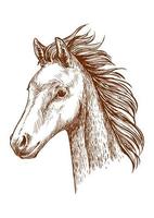 retrato de esboço a lápis de cavalo marrom vetor