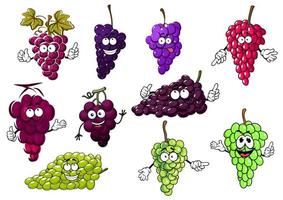 frutas doces de uva roxa, verde e vermelha vetor
