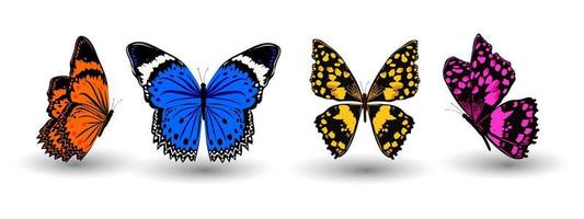 ícone de borboleta. inseto de borboleta realista com lindas asas de cor azul roxo laranja amarelo. sinal animal para design de logotipo, pôster, estampa de camiseta, ilustração vetorial isolada no fundo branco vetor