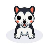 desenho de cachorrinho husky fofo vetor