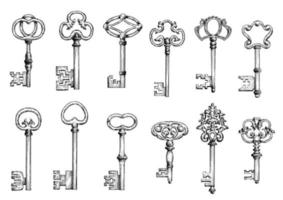 conjunto de esboços de chaves de esqueleto antigas vetor