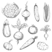 ícones de esboço de vegetais frescos e maduros