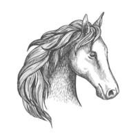 ícone de cabeça de cavalo esboçado de garanhão árabe vetor