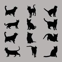 conjunto de gatos vetoriais. animal de estimação, gato selvagem e gatinho, caçador e predador, silhueta negra vetor