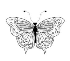 livro de colorir borboleta. desenho linear de uma borboleta vetor
