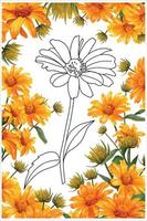 flor de margarida amarela, gerbera, livro de colorir de flores, página para colorir vetor