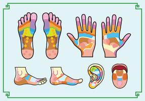 Gráfico de reflexologia grátis vetor