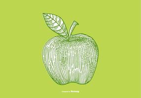 Desenho da maçã vetor