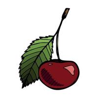 clipart de cereja vetorial. ícone de baga desenhada de mão. ilustração de frutas vetor