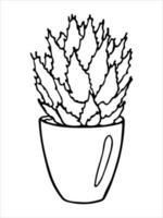 planta de casa desenhada de mão bonita em um clipart de pote. ilustração de plantas. doodle em casa aconchegante vetor