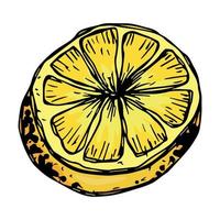 vector clipart de limão. ícone cítrico desenhado de mão. ilustração de frutas. para impressão, web, design, decoração