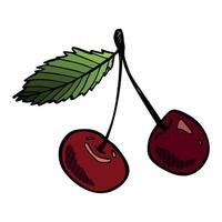 clipart de cereja vetorial. ícone de baga desenhada de mão. ilustração de frutas vetor