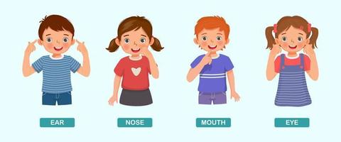 crianças bonitas mostrando apontando diferentes partes do corpo da anatomia humana, como orelha, nariz, boca, olho vetor