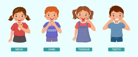 crianças bonitas mostrando apontando diferentes partes do corpo da anatomia humana, como pescoço, queixo, língua, dentes vetor