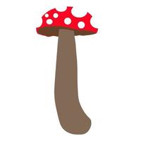 personagem de cogumelo. ilustração de cogumelo, personagem de mascote de cogumelo vetor