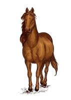 retrato de mustang de cavalo árabe marrom forte vetor