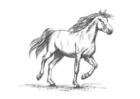desenho de cavalo com cavalo de corrida em execução vetor