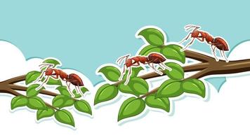 formigas vermelhas em galhos de árvores vetor