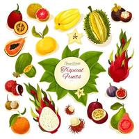 cartaz de vetor de frutas frescas tropicais