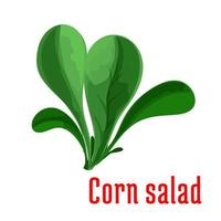 ícone de folhas verdes escuras de salada de milho, estilo cartoon vetor