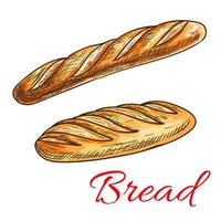 esboço de pão com baguete francesa e pão longo vetor