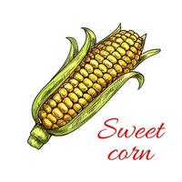 ícone de vegetais de milho doce vetor