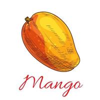 ícone de esboço de cor de vetor de frutas de manga