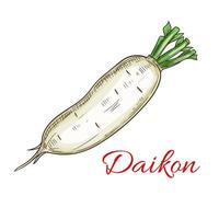 ícone de esboço de vegetais daikon vetor