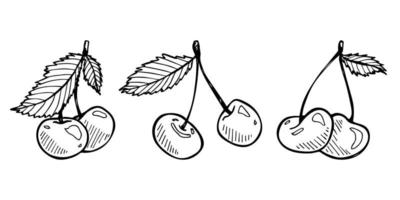 clipart de cereja vetorial. ícone de baga desenhada de mão. conjunto de ilustração de frutas vetor