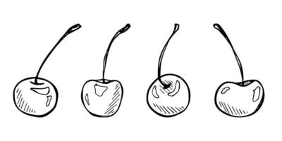 clipart de cereja vetorial. ícone de baga desenhada de mão. conjunto de ilustração de frutas vetor