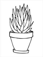 planta de casa desenhada de mão bonita em um clipart de pote. ilustração de plantas. doodle em casa aconchegante vetor