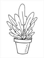 planta de casa desenhada de mão bonita em um clipart de pote. ilustração de plantas. doodle em casa aconchegante vetor