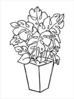 planta de casa desenhada de mão bonita em um clipart de pote. ilustração de plantas. doodle em casa aconchegante vetor