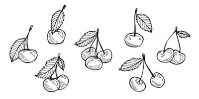 clipart de cereja vetorial. ícone de baga desenhada de mão. conjunto de ilustração de frutas vetor