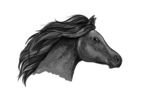 retrato de cavalo gracioso preto vetor