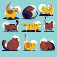 animais de estimação de gato e gatinhos fofos em poses diferentes conjunto vetor