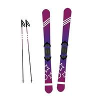 esquis alpinos roxos e ilustração vetorial de varas isoladas no fundo branco. esporte de inverno. equipamento para esquiar. vetor