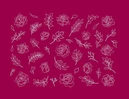 rosas com galhos doodle contornos brancos. conjunto de contorno desenhado à mão vetor