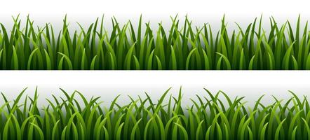 conjunto de grama verde isolado no fundo branco vetor