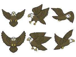 pacote de águia com poses diferentes vetor