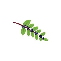 ilustração em vetor de clip art de design plano huckleberry evergreen isolada em um fundo branco