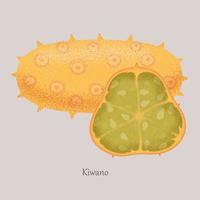 kiwano frutas tropicais e exóticas inteiras e meia. melão com chifres, pepino africano em um fundo cinza. ilustração vetorial, ícone de fruta isolado. vetor