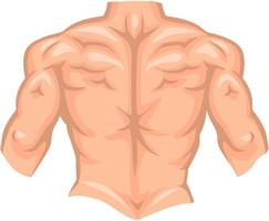 costas nuas de fisiculturista masculino com músculo isolado no fundo branco vetor
