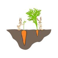 dois coelhos engraçados de desenho animado com cenoura pequena e grande na ilustração gráfica vetorial de cama de jardim vetor