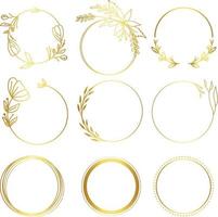 coleção de moldura de anel floral de ouro vetor