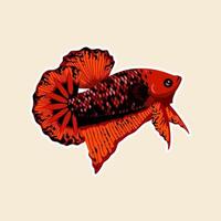 arte de ilustração vetorial de peixe betta vetor