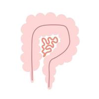 o intestino humano. gastroenterologista. ilustração vetorial em um estilo simples. vetor