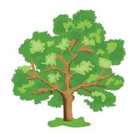 download de vetor plano de uma árvore