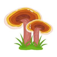 um vetor ilustrativo plano de cogumelo