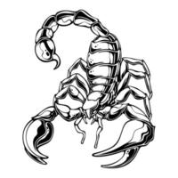ilustração vetorial escorpião em uma postura pronta para atacar com seu design preto e branco de picada